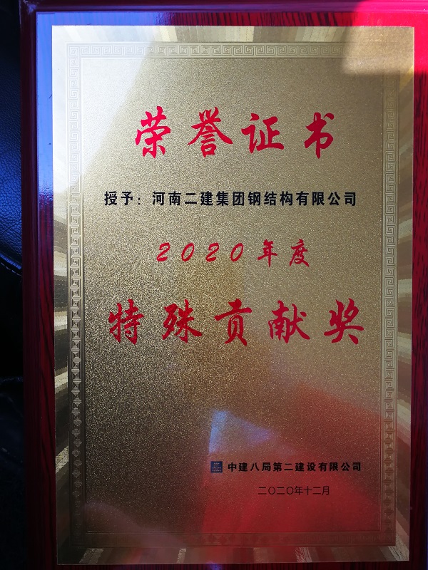 特殊貢獻獎榮譽證書 - 副本.jpg 特殊貢獻獎榮譽證書 - 副本.jpg