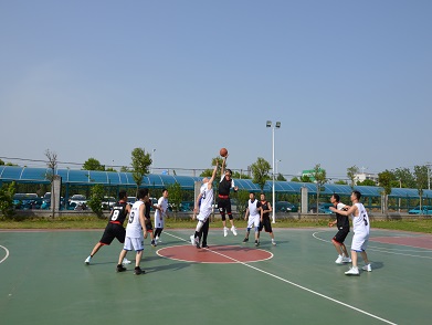 慶五一籃球?qū)官?>
                        </div>
                        <div   id=